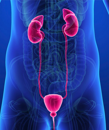 Urology