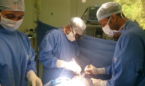 Cardiothoracic Surgery