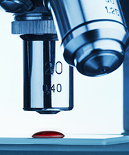 Microbiology