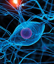 Neurology